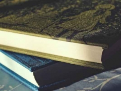 ŷ�޳�����ѧ�н����/