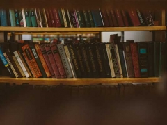 ������������ѧ�н����/