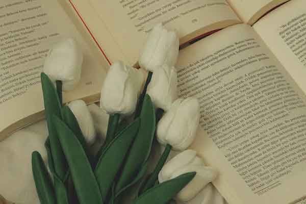 �Ϸ���˼��ѵ��۸�һ�����