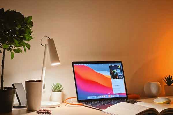 �Ϻ�С������ѵ��������