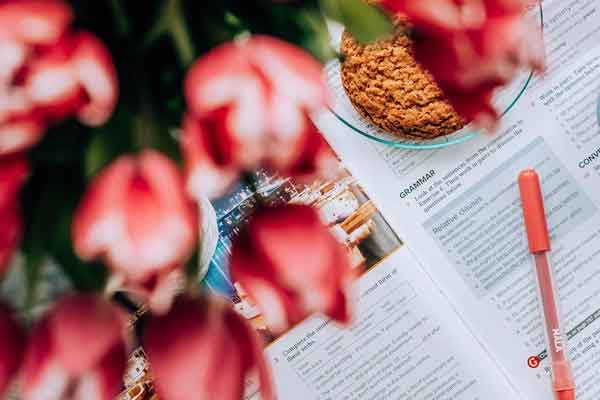 ������˼��ѵ�����ĸ���Щ