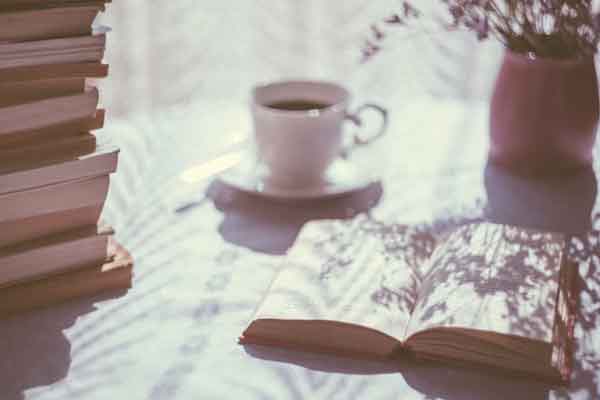 ���ݿ���Ӣ����ѵ��������