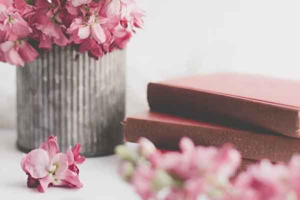 ��������Ӣ����ѵ��������