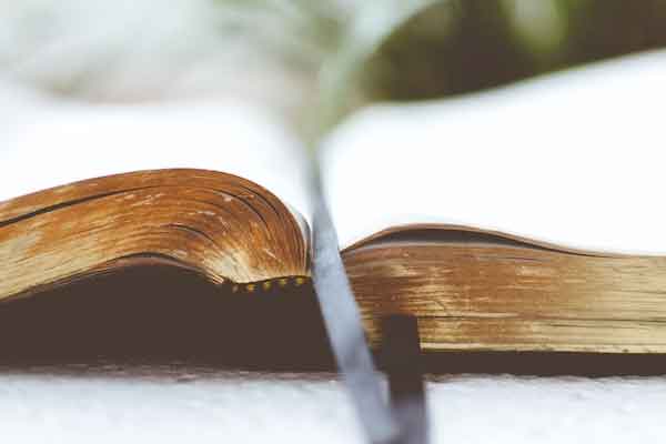 ����ɽ����Ӣ����ѵ��������