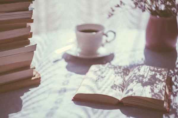 ���ݿ���Ӣ����ѵ��������