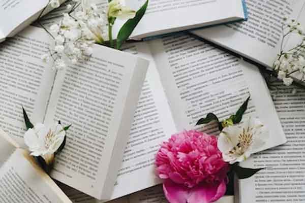 ��̨����Ӣ����ѵ��������