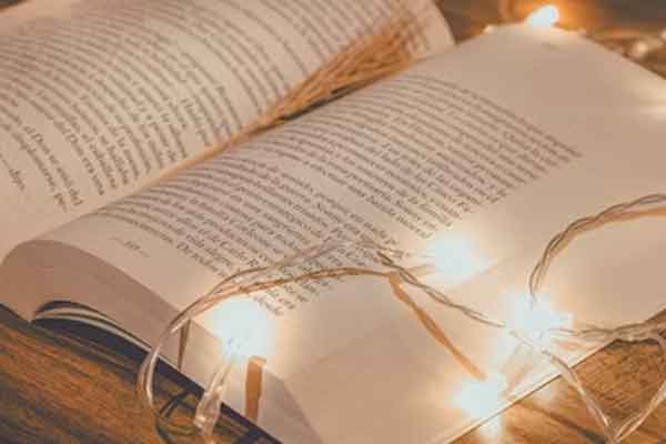 ���ݿ���Ӣ����ѵ��������