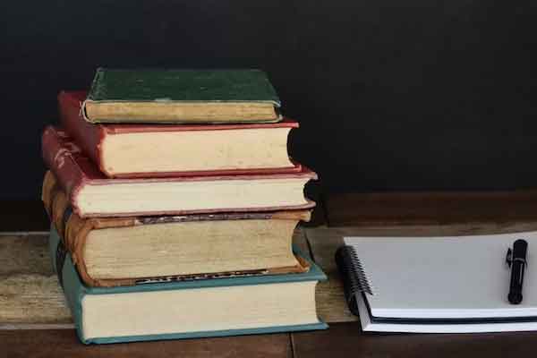 ��ɽ����Ӣ����ѵ��������