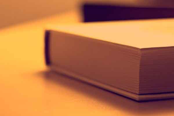 ֣�ݿ���Ӣ����ѵ��������