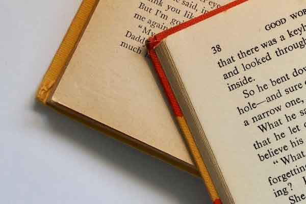 �绯����Ӣ����ѵ��������