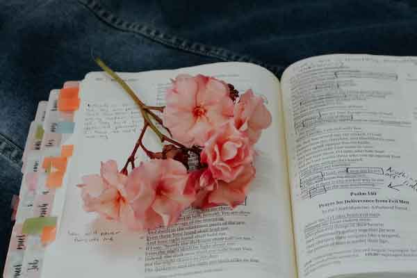 ������ѧ��������Щ���ļҺã�