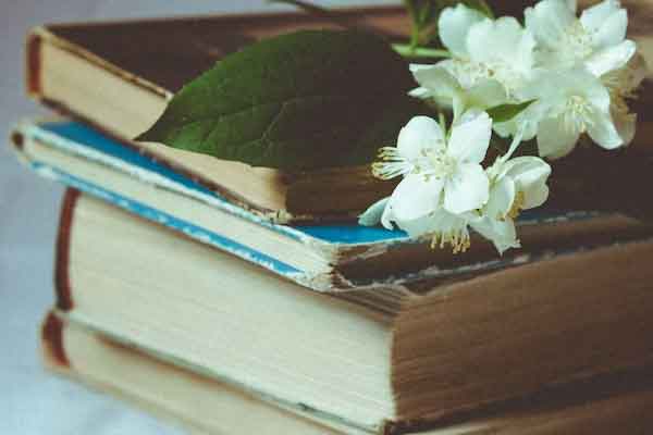 ̫ԭ��ѧ�н������ѯ