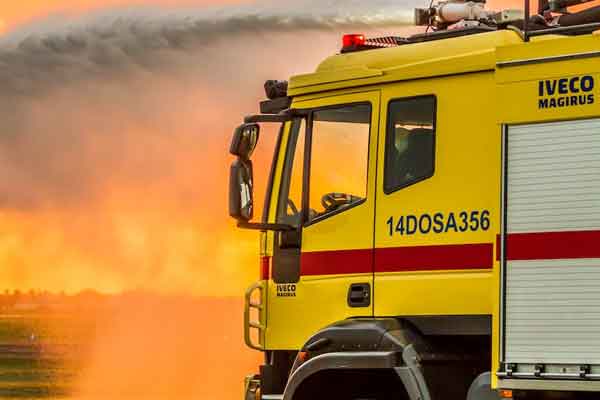 ����Ӧ����ԮԱְҵ�ʸ�֤��α���