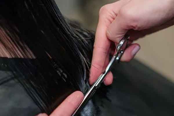 ��̨ѧ����������ѵѧУ