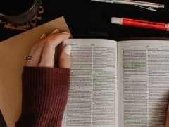 פ���꺣�Ŀ��м�ѵӪ��ַ/