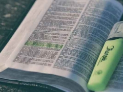 ���Ϻ��Ŀ��м�ѵӪ��ַ/