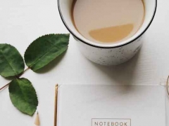 �������Ŀ��м�ѵӪ��ַ/