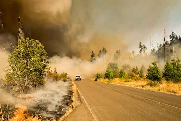 �ϳ�������ʩ����Ա֤��ô��