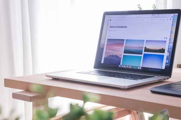 ����ѧwebǰ�˿�����ѵ��ѧ�Ѽ۸�