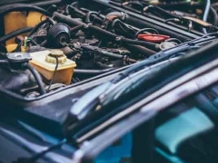 ����������ѵ�ٳɰ�/