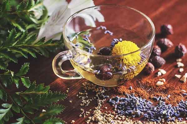 亳州中医专长医师考试培训班哪家好?