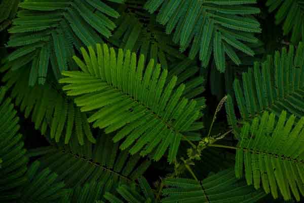 ������ҽר��ҽʦ������ѵ���ļҺã�