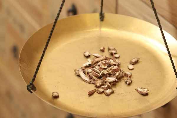 ������ҽר��ҽʦ������ѵ���ļҺã�