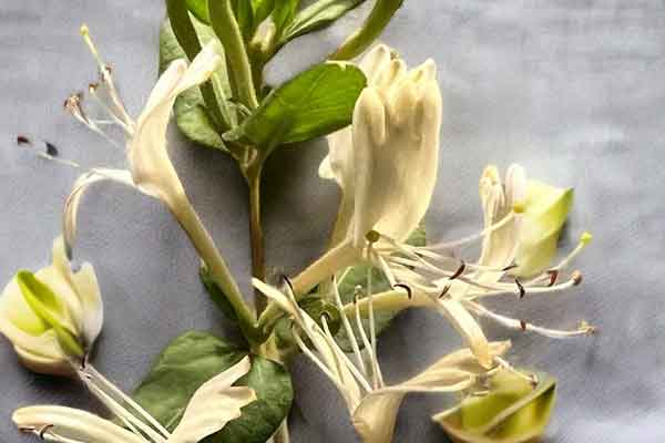 毕节中医专长医师考试培训班哪家好?