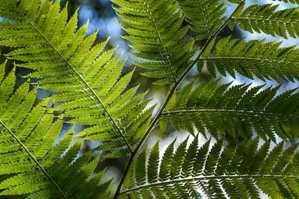 渭南中医专长医师考试培训班哪家好?