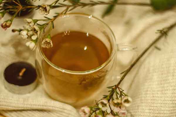 吴忠中医专长医师考试培训班哪家好?