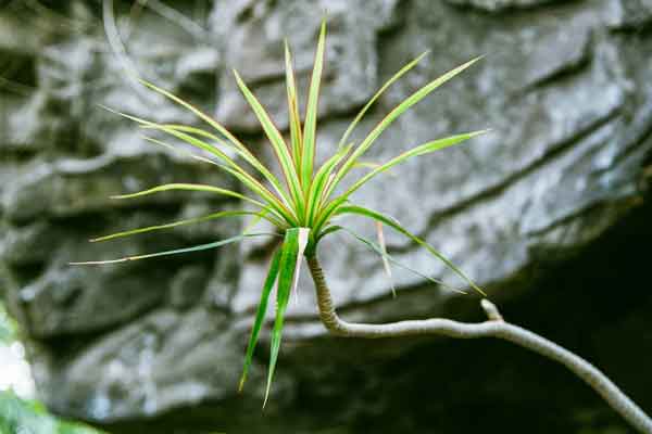 宁夏中医专长医师考试培训班哪家好?