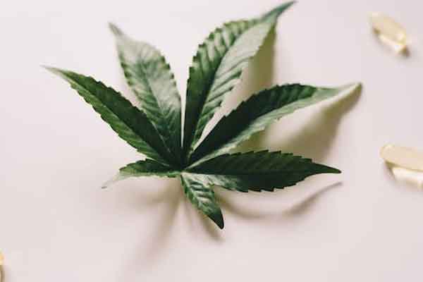天水中医专长医师考试培训班哪家好?