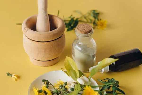 ������ҽר��ҽʦ������ѵ���ļҺã�