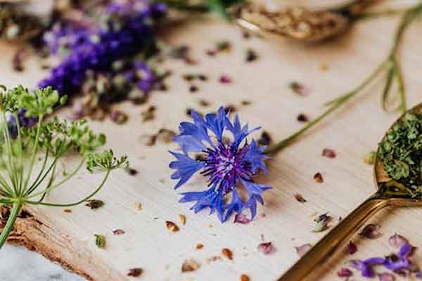 �ӳ���ҽר��ҽʦ������ѵ���ļҺã�