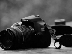 ������Ӱ��ѵ���ļҺ�/