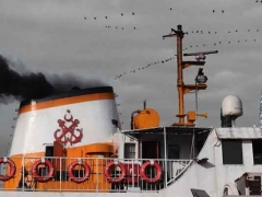 ����������ѵ��������/