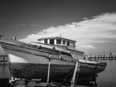 Ȫ�ݺ�Ա��ѵ�೤ʱ��һ��/