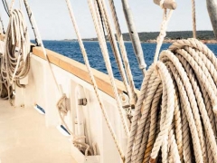 ˮ����ѵ��������ѵʲô/