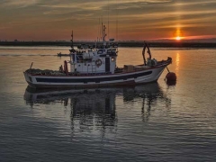 ˮ����ѵ��Ŀ������/