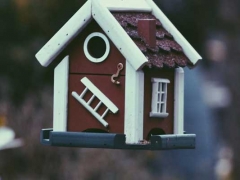 ������ҵ����ʦ֤�������ﱨ������/