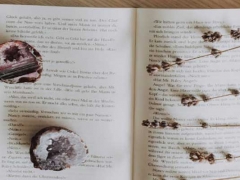 ���ݸ�����ѧϰ������ô���������ѧ��/