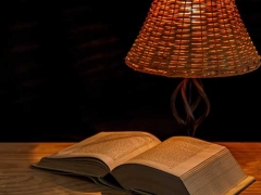 ���ݸ�����ѧϰ������ô���������ѧ��/