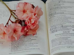 ����������ѧϰ������ô���������ѧ��/