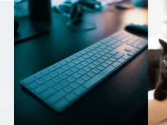 ���ݴ���IT��ѵ����-����,����,UI���,��Ӫ-�ÿα�����/