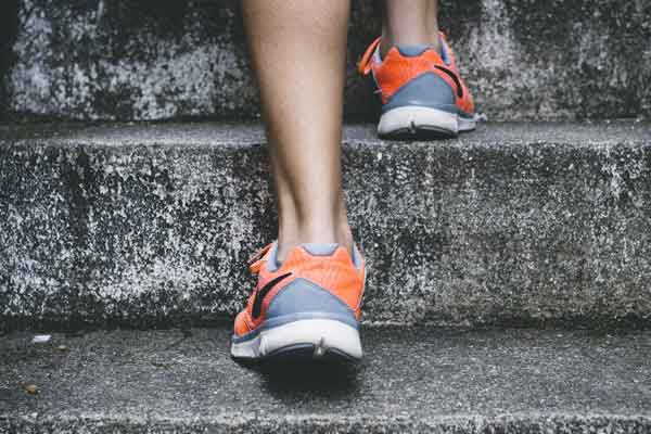 Ӫ�ڽ�������ʦ������ѵ����-����+������ʱѧ