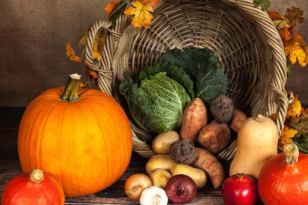 ���ҽ�������ʦ������ѵ����-����+������ʱѧ