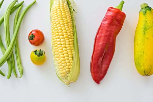 ���Ľ�������ʦ������ѵ����-����+������ʱѧ