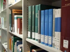 2024��������ѧ������ѧ������������һ��/