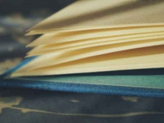 2024�������ѧ������ѧ������������һ��/