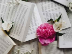 2024�������ѧ������ѧ������������һ��/